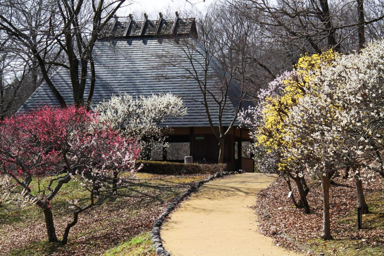 Ikoi No Mura Heritage Minoyama Minano Kültér fotó