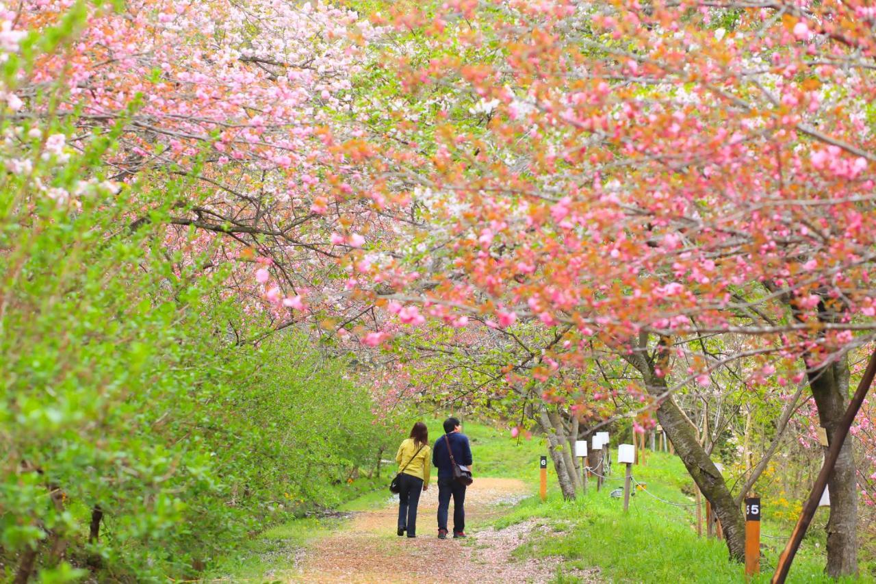 Ikoi No Mura Heritage Minoyama Minano Kültér fotó